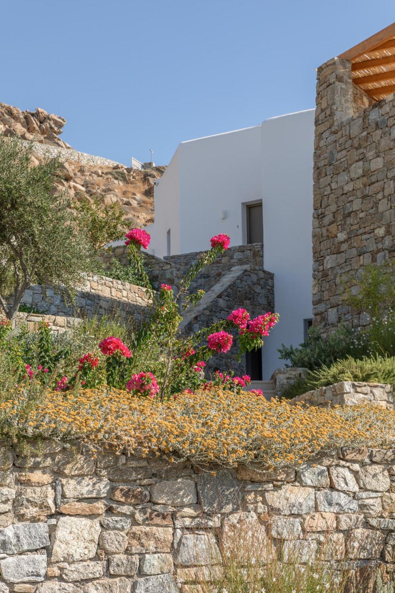 Calma Suites Mykonos Psarou  Exteriör bild